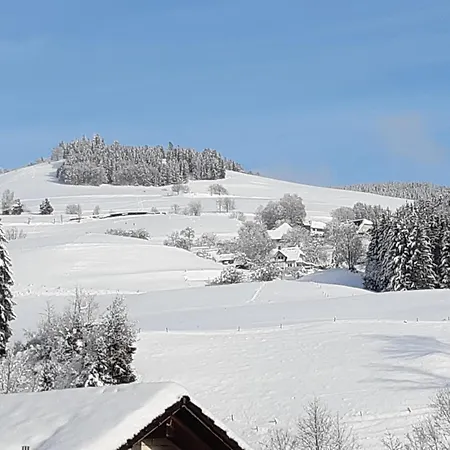 Haus Böhler * Frohnd