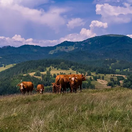 Heimatliebe Apartamento Frohnd