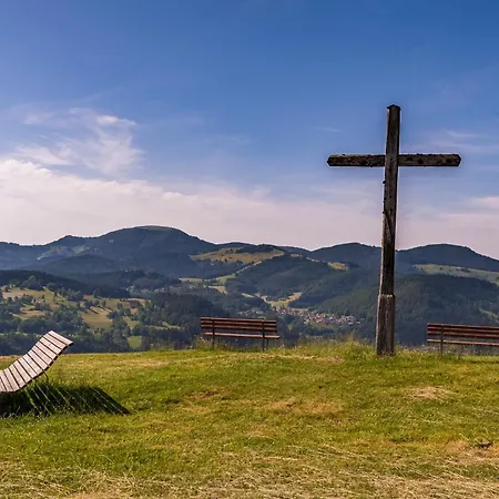 Heimatliebe * Frohnd